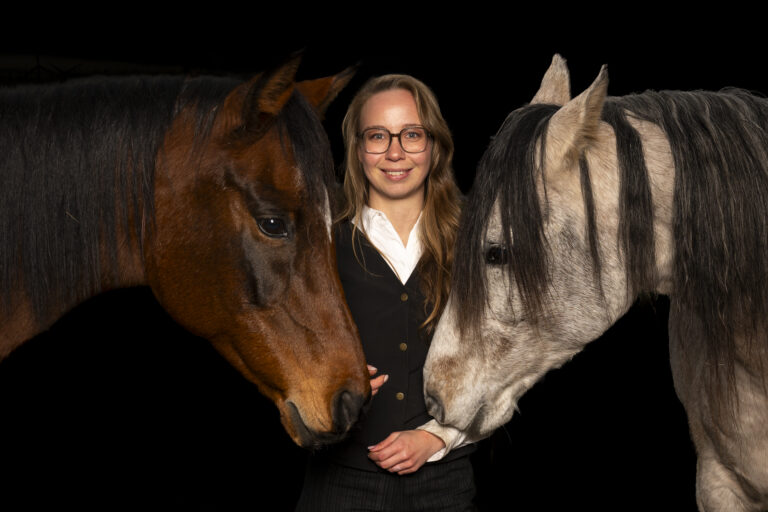 Pferde Portraits
