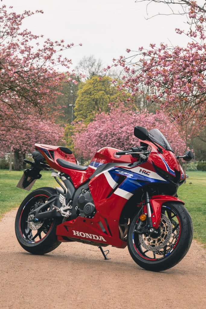Honda CBR vor Kirschblüten, Hochformat